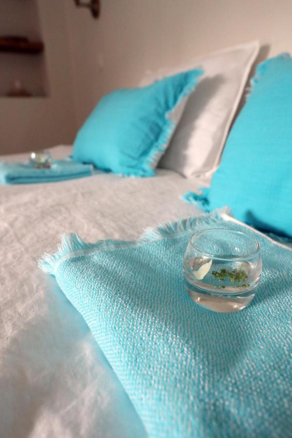 Petit Prince, Bed & Breakfast Gent