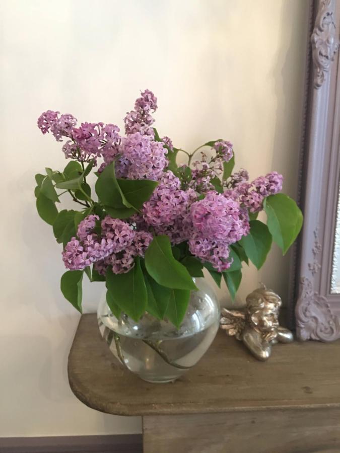 Petit Prince, Bed & Breakfast Gent